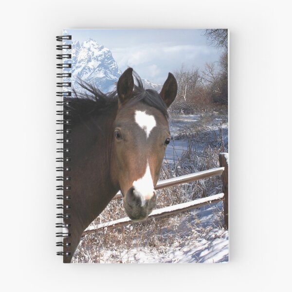 Item preview, Winter In The Tetons designed and sold by Bill Stephens.