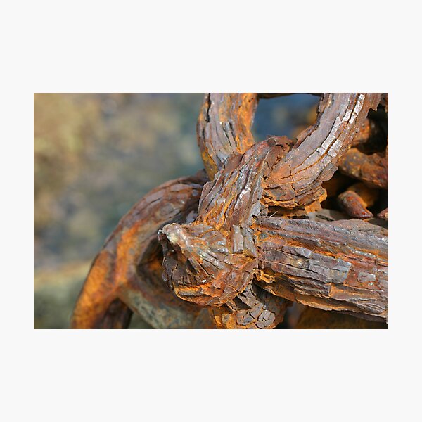 Rusty Thing Photographic Print