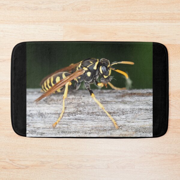 Item preview, Paper wasp (Polistes dominula) gathering wooden material designed and sold by SDym Photography.