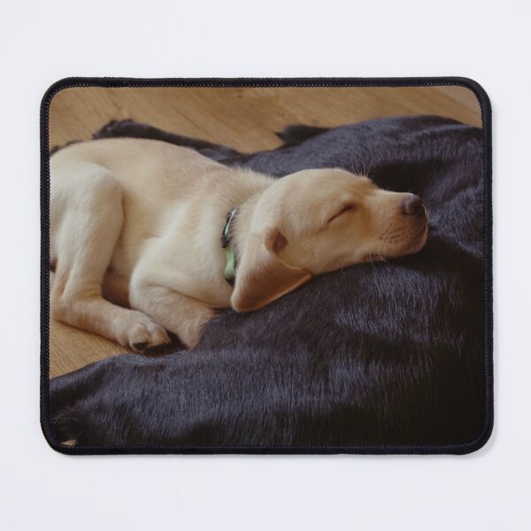 Item preview, Sleeping retriever puppy designed and sold by riku05830.
