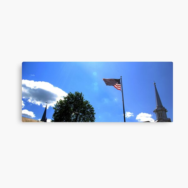 The Second Freedom Metal Print