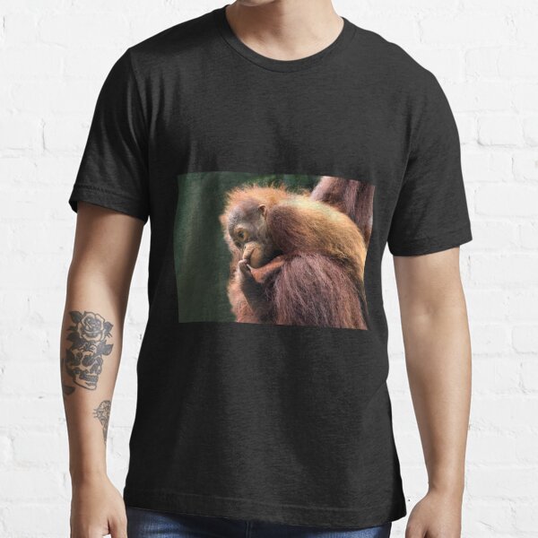  Milo - The Borneo Baby Orangutan T-Shirt : Clothing