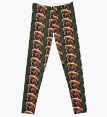 Baby Orangutan, Borneo Leggings