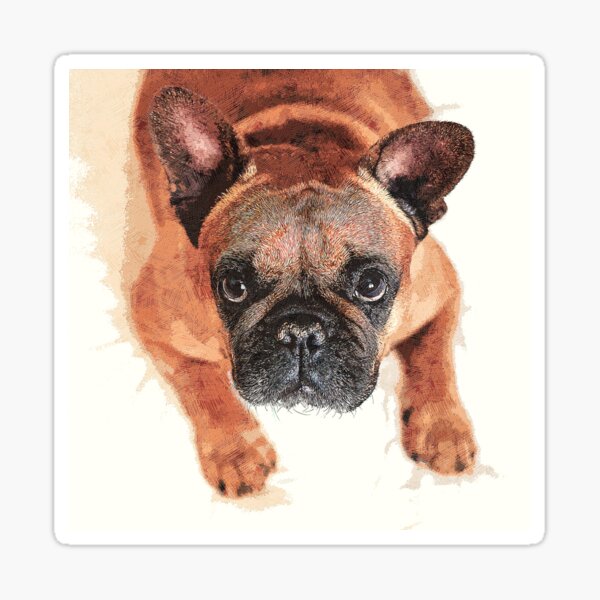 Super Cute Brown French Bulldog - Custom Pet Portrait Art Studio Sticker