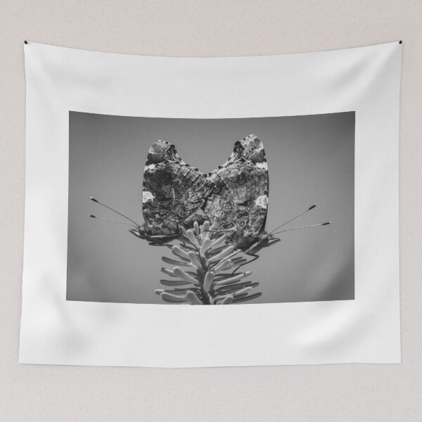 Item preview, Red Admiral Butterflies Mating designed and sold by JJVXPHOTOGRAPHY.