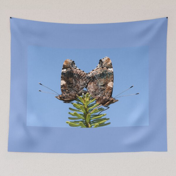 Item preview, Red Admiral Butterflies Mating designed and sold by JJVXPHOTOGRAPHY.