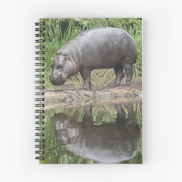 Item preview, Pygmy Hippo Reflection designed and sold by emmelined.