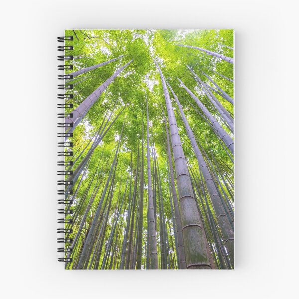 Aperçu de l'œuvre Arishiyama en bambou de Kyoto créée et vendue par Adrian Alford Photography.