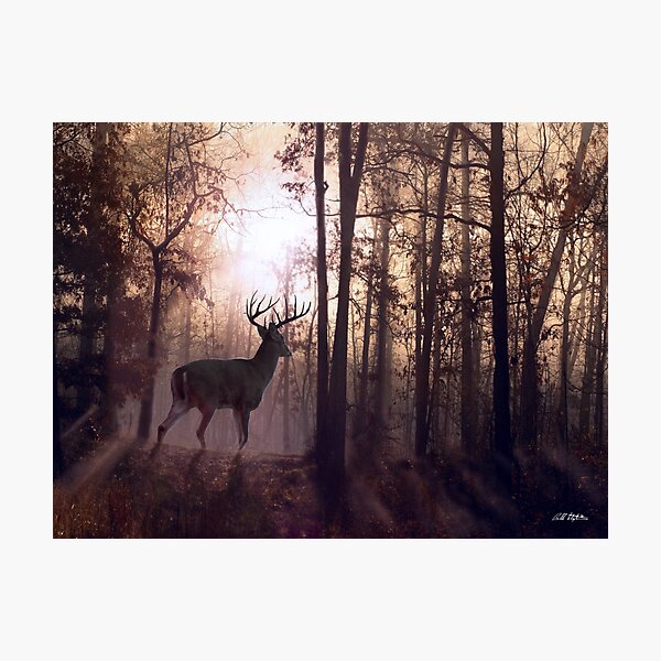 Item preview, Foggy Morning in Missouri designed and sold by Bill Stephens.