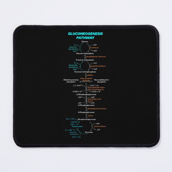 Item preview, Gluconeogenesis Pathway designed and sold by angelisart.