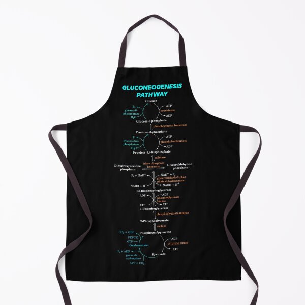Item preview, Gluconeogenesis Pathway designed and sold by angelisart.