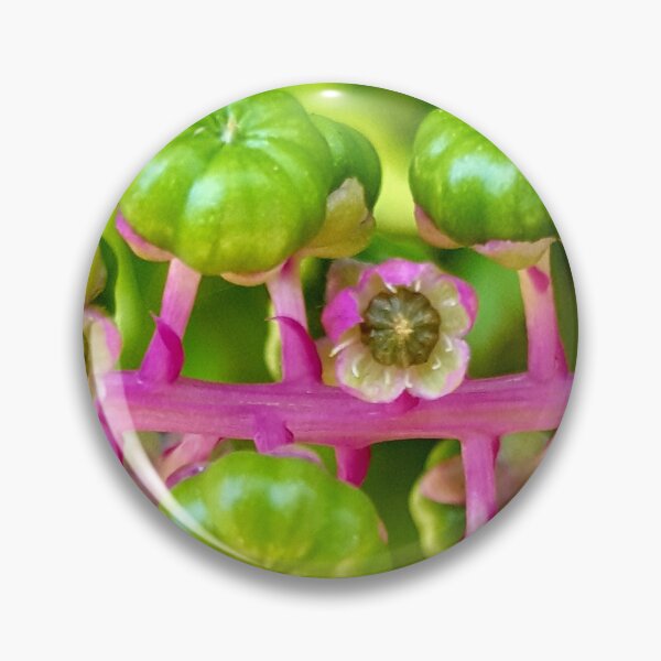 Item preview, Fabulous Planet: pink and green macrophoto designed and sold by NatureNature.