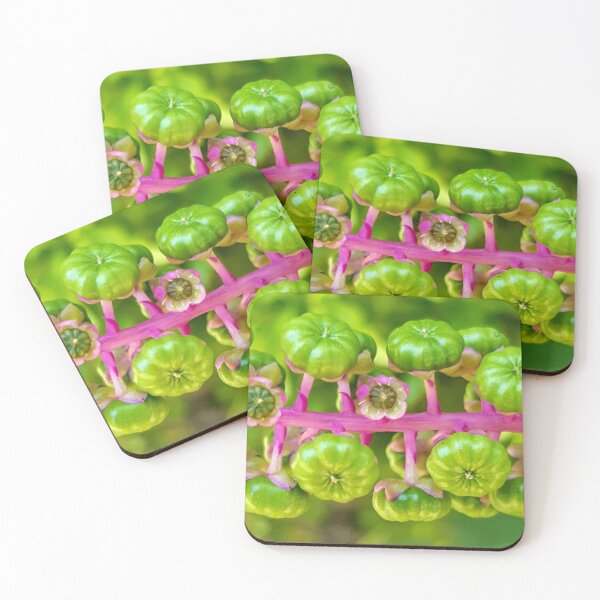Item preview, Fabulous Planet: pink and green macrophoto designed and sold by NatureNature.
