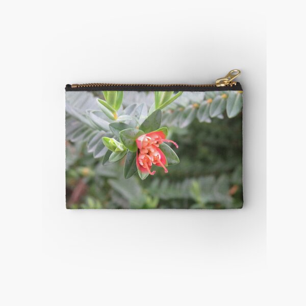 Item preview, Darwinia flowers designed and sold by greentiger1.