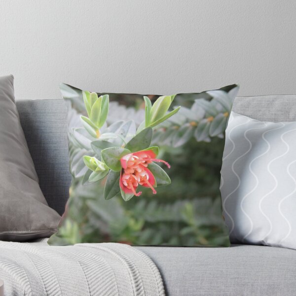 Item preview, Darwinia flowers designed and sold by greentiger1.