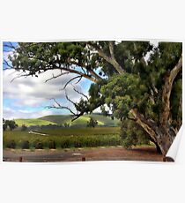 Jacobs Winery, South Australia Poster