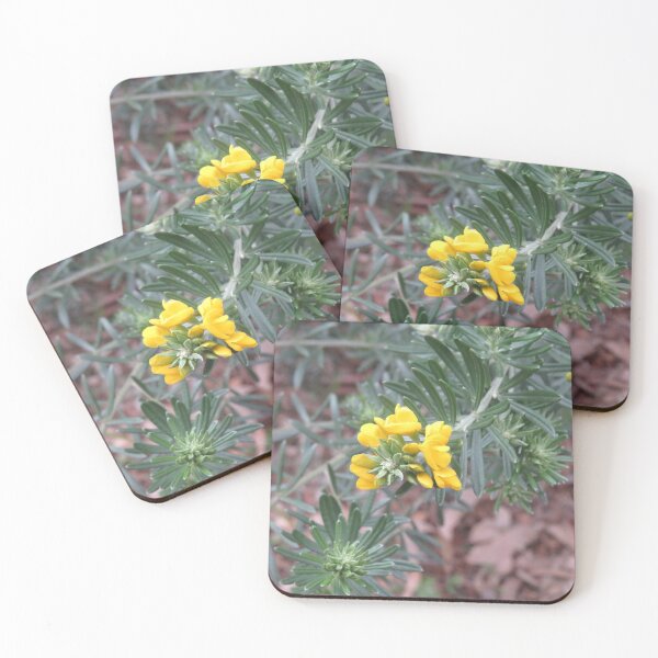 Item preview, Yellow broom flowers designed and sold by greentiger1.