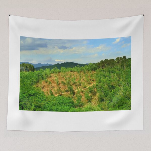 Item preview, The Tuscan-Emilian Apennines designed and sold by annalisa56.