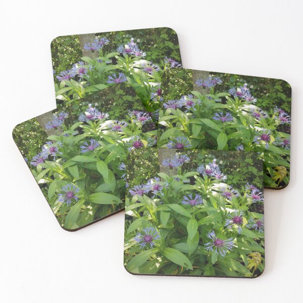 Item preview, cornflower designed and sold by Gourmetkater.
