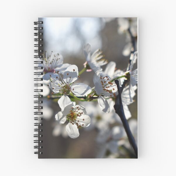 Item preview, White spring bloom on a dark background designed and sold by mariya-ivanova.
