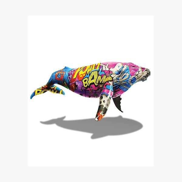 Tagged Whale Photographic Print