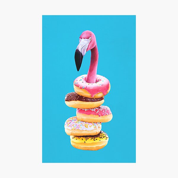 A Famished Flamingo Photographic Print