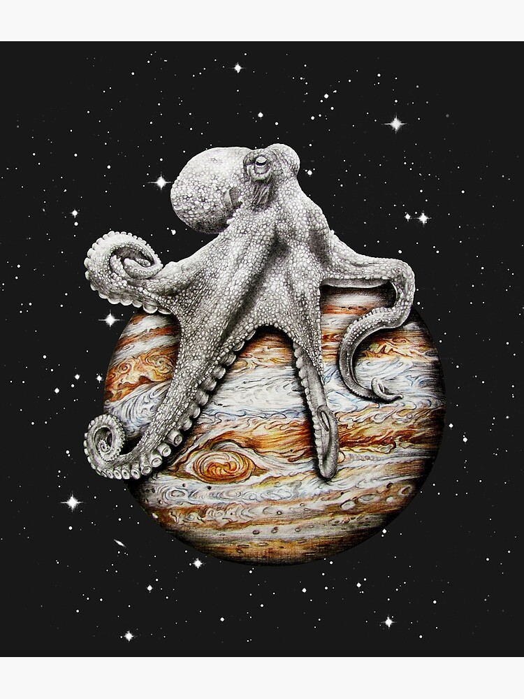 Celestial Cephalopod by jamesormiston