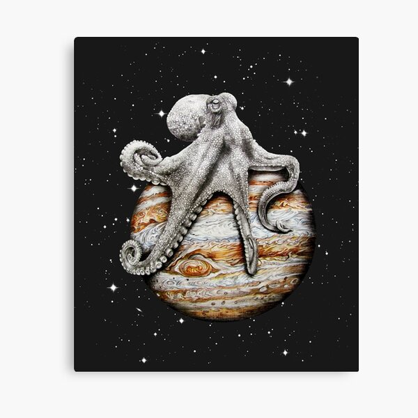 Celestial Cephalopod Canvas Print