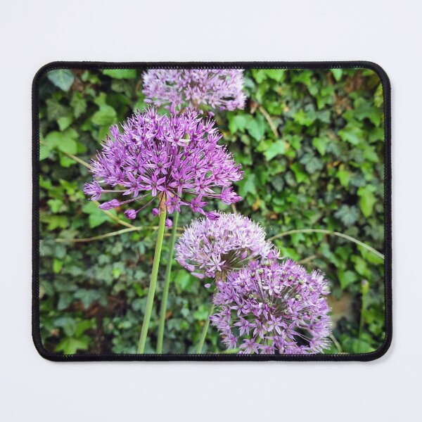 Item preview, ornamental onion designed and sold by Gourmetkater.