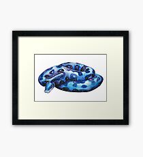 Galactic Snoodle (Ball Python) Framed Print