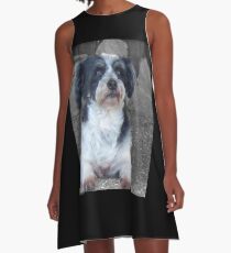Shep Dresses
