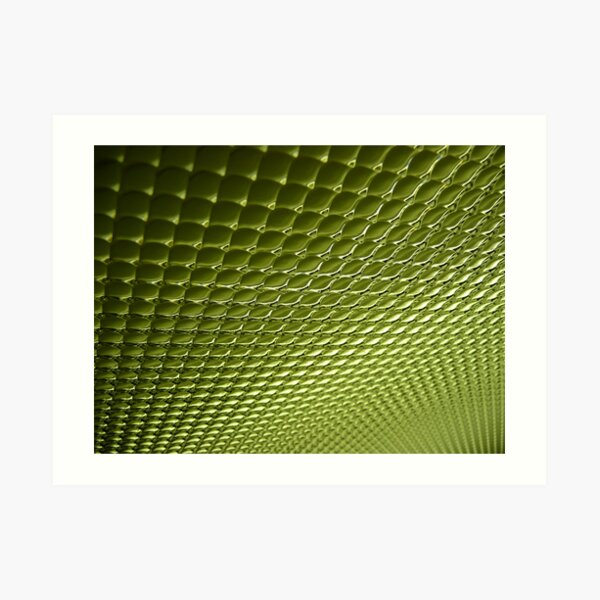 Herptile Art Print