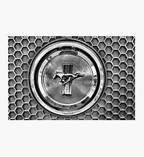 Mustang honeycomb grill Photographic Print