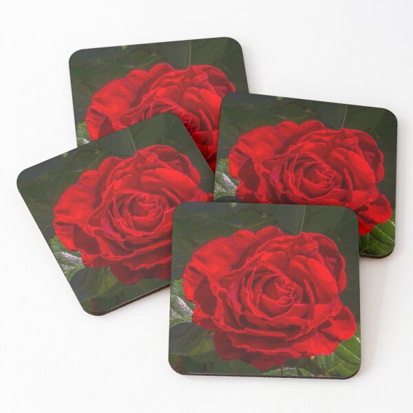Item preview, Red Rose Perfection designed and sold by Steven Jodoin.