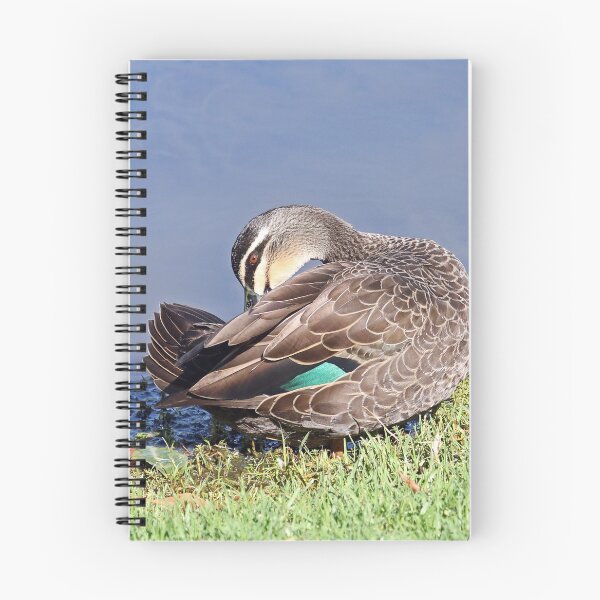 Item preview, Pacific Black Duck (545) designed and sold by Emmy Silvius.