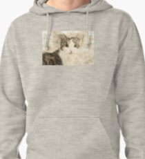 Cat Art Pullover Hoodie