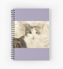Cat Art Spiral Notebook