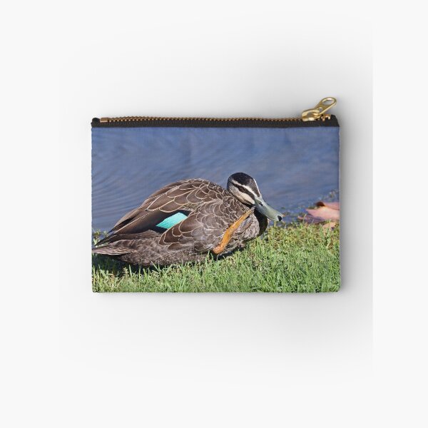 Item preview, Pacific Black Duck (544) designed and sold by Emmy Silvius.