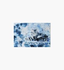 Beautiful Blue Cat Art Board