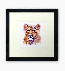 Lioness Head Framed Print