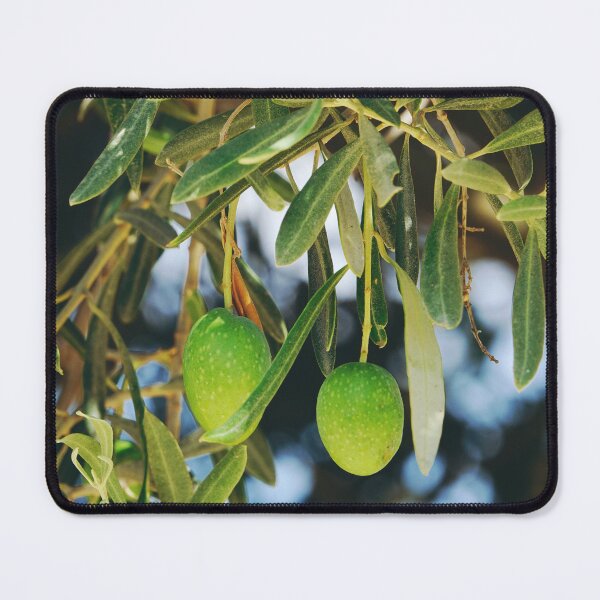 Item preview, Green Olives Sprig - Mediterranen Garden Plants designed and sold by CarolinaReina.