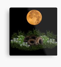 Ecology Metal Print