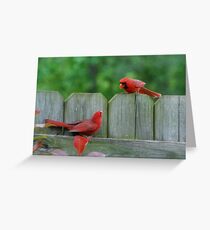 Territorial Greeting Card