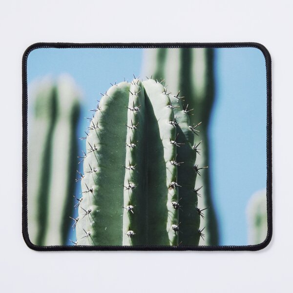 Item preview, Aesthetic Pale Green Cereus Cactus Plant  designed and sold by CarolinaReina.