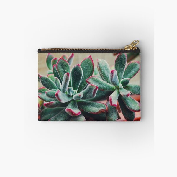 Item preview, Velvet Echeveria Succulent designed and sold by CarolinaReina.