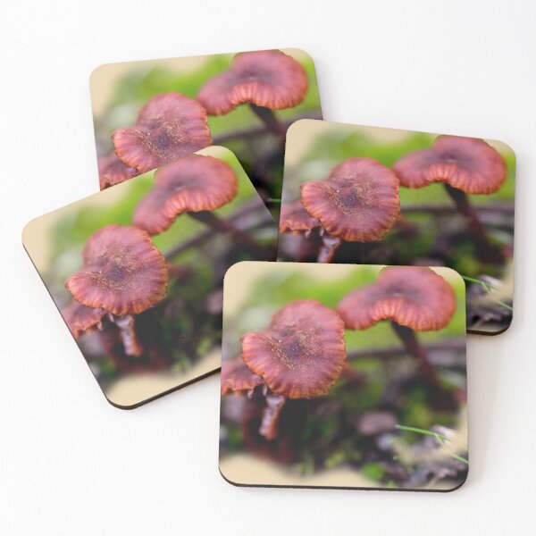 Item preview, Toadstools designed and sold by indiafrankk.