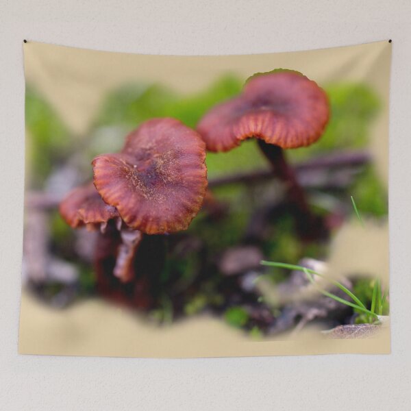Item preview, Toadstools designed and sold by indiafrankk.