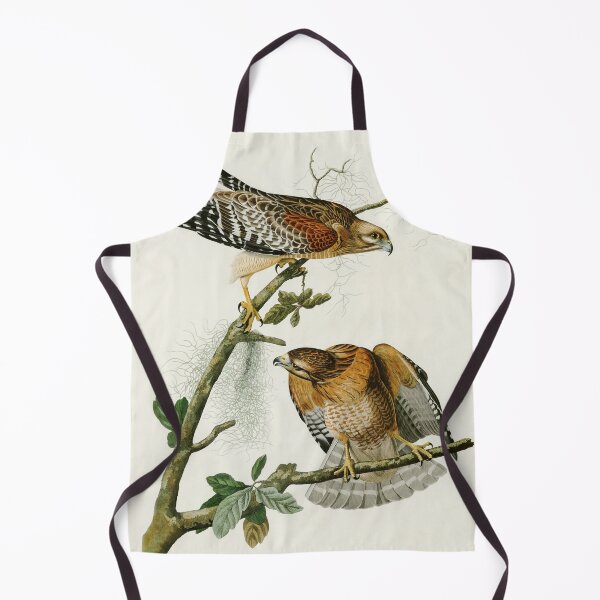 Item preview, Red-shouldered Hawk by John James Audubon designed and sold by Natural History Prints.