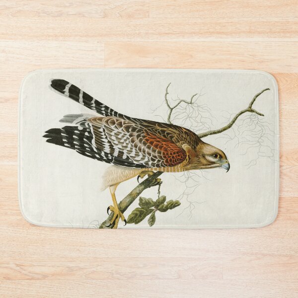 Item preview, Red-shouldered Hawk by John James Audubon designed and sold by Natural History Prints.