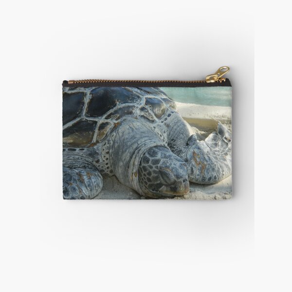 Aperçu de l'œuvre Sea Turtle créée et vendue par lgodfroy43.